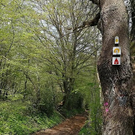 La Sittelle Des Aguesses Appartement Andenne